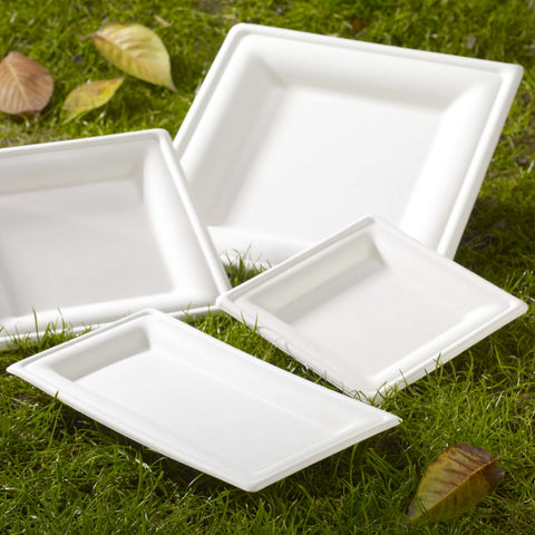Bagasse Square Plates (250 & 500 pack)