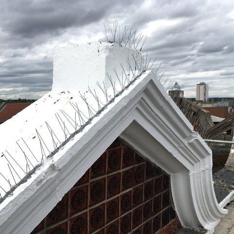 Bird Spikes