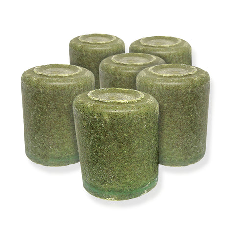 BioBrick